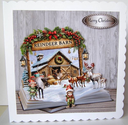 the reindeer barn by Margaret McCartney