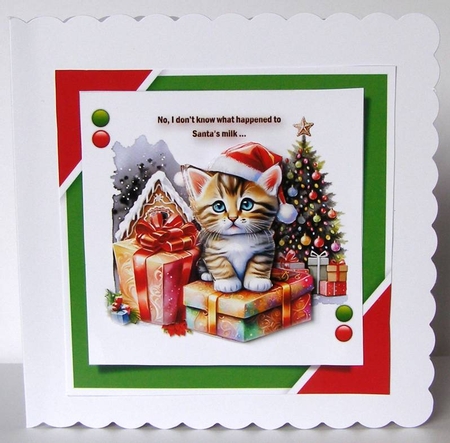 Santas Milk by Margaret McCartney