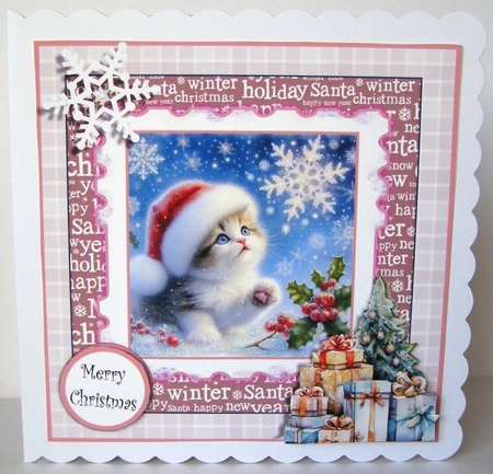 Oh to Catch a Snowflake Kitten by Margaret McCartney