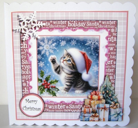 Oh to Catch a Snowflake Kitten by Margaret McCartney