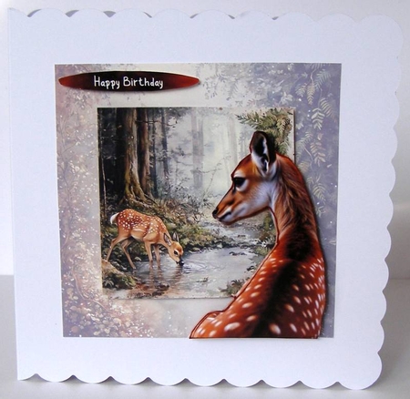 HERES LOOKING AT YOU WOODLAND DEER ALL OCCASIONS CARD FRONT  by Margaret McCartney