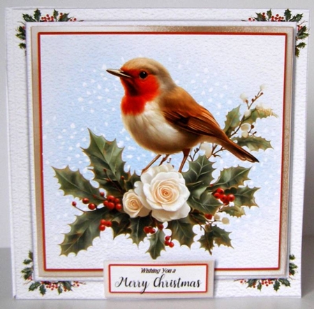A Little Robin Told Me 9 by Margaret McCartney