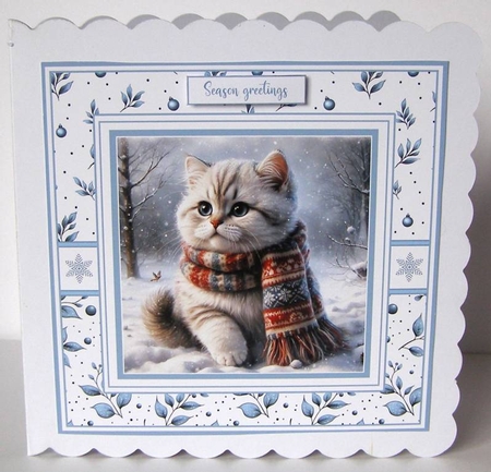 Frosty Whisker Fun by Margaret McCartney