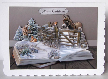 The Robin and the Donkey by Margaret McCartney