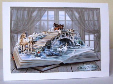 a bridge of books by Margaret McCartney