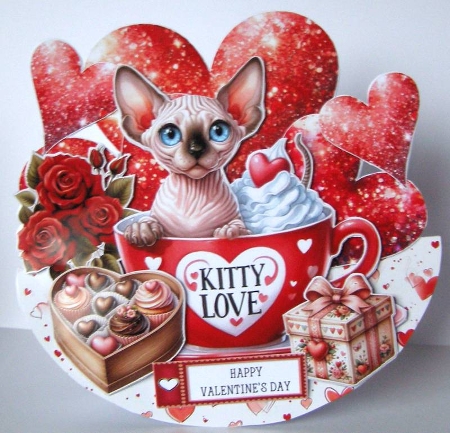 My Purrfect Valentine 11 by Margaret McCartney