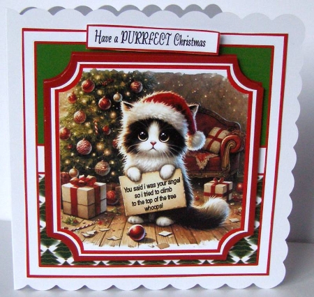 cat angel by Margaret McCartney