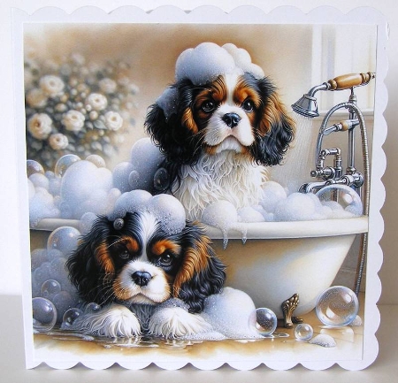 KING CHARLES SPANIEL PUPPIES - Illustrations for Cardmakers & Designers   by Margaret McCartney