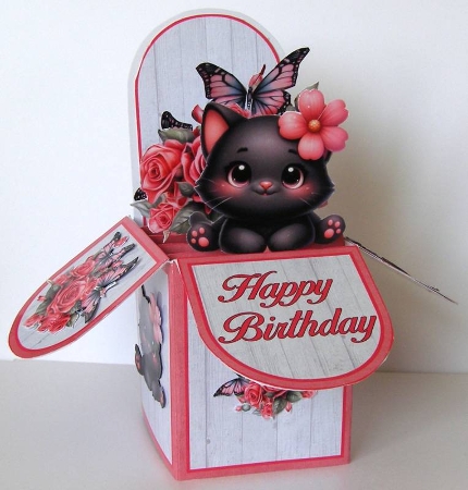 Cute Black Cat Pop-Up Box Mini Kit by Margaret McCartney