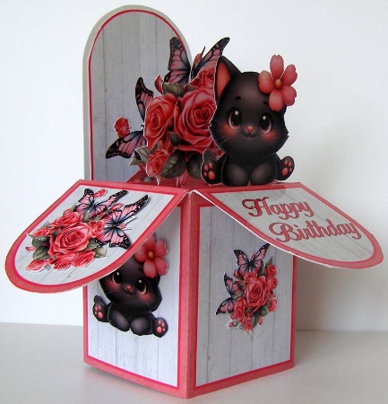 Cute Black Cat Pop-Up Box Mini Kit by Margaret McCartney