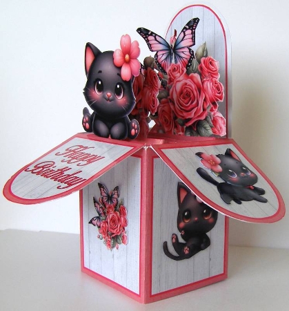 Cute Black Cat Pop-Up Box Mini Kit by Margaret McCartney