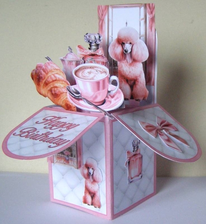 French Chic Pop-Up Box Mini Kit  by Margaret McCartney