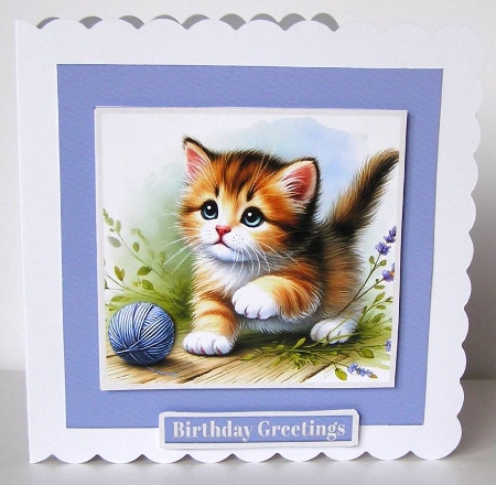 Playful Kitten by Margaret McCartney