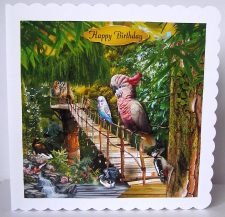 birds of the forest by Margaret McCartney
