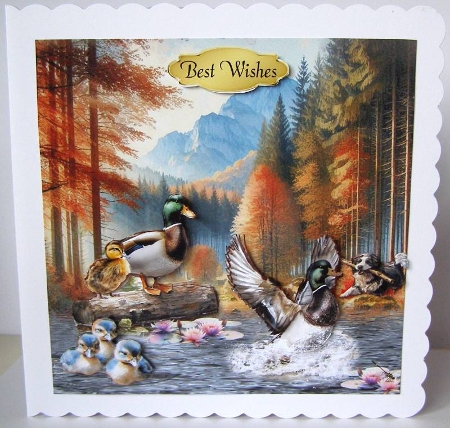 water-fowl by Margaret McCartney