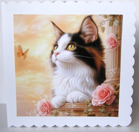 Longhair Cats / Card Fronts by Margaret McCartney