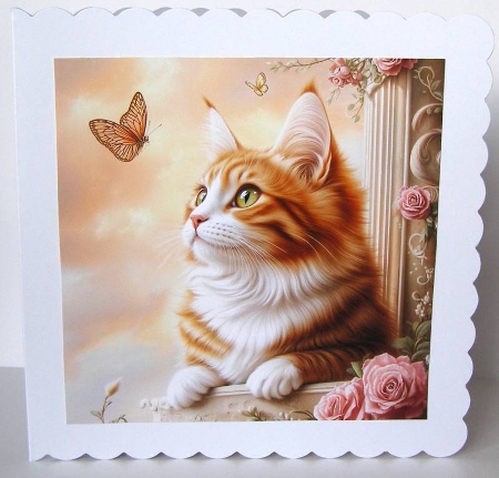 Longhair Cats / Card Fronts by Margaret McCartney