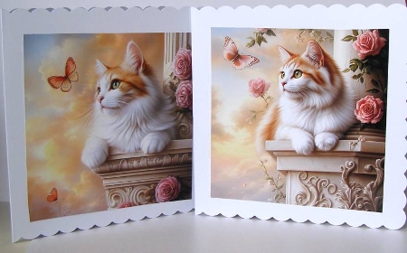 Longhair Cats / Card Fronts by Margaret McCartney