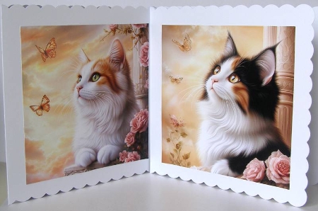 Longhair Cats / Card Fronts by Margaret McCartney