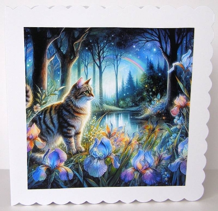 Iris Cat Pond by Margaret McCartney