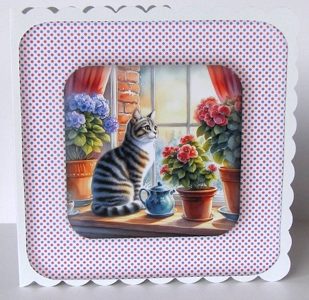 Cat in the Window - Illustrations for Cards by Margaret McCartney