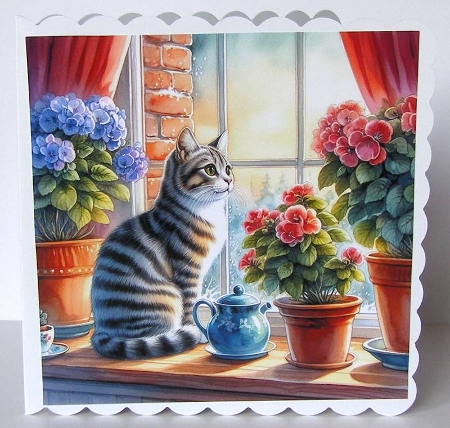 Cat in the Window - Illustrations for Cards by Margaret McCartney