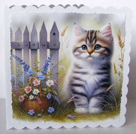 6x6 Cats Collection - Manx - Illustrations for Cardmaking & Designers by Margaret McCartney
