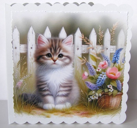 6x6 Cats Collection - Manx - Illustrations for Cardmaking & Designers by Margaret McCartney