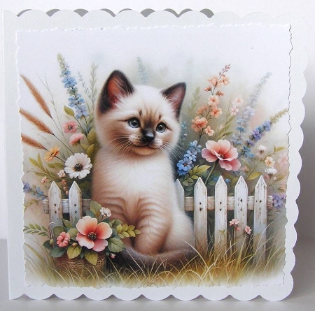 6x6 Cats Collection - Siamese - Illustrations for Cardmaking & Designers by Margaret McCartney