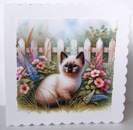 6x6 Cats Collection - Siamese - Illustrations for Cardmaking & Designers by Margaret McCartney