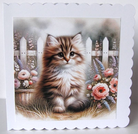6x6 Cats Collection - Tabby - Illustrations for Cardmaking & Designers by Margaret McCartney