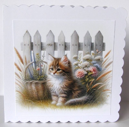 6x6 Cats Collection - Tabby - Illustrations for Cardmaking & Designers by Margaret McCartney