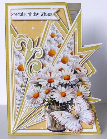 Fan-tastic White Daisies 11 5x7 by Margaret McCartney