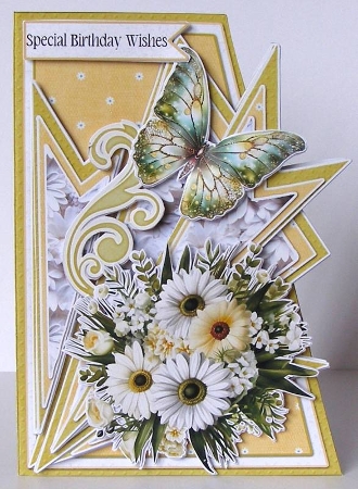 Fan-tastic White Daisies 12 5x7 by Margaret McCartney