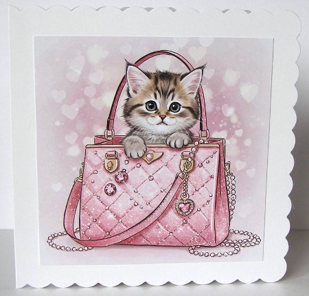 Cat Bag  by Margaret McCartney