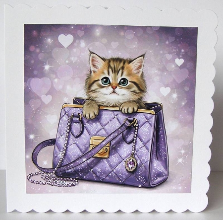 Cat Bag  by Margaret McCartney