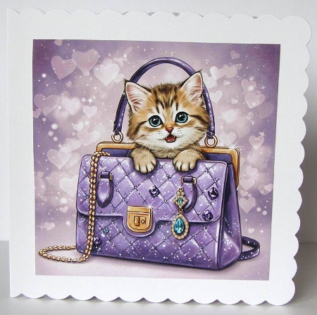 Cat Bag  by Margaret McCartney