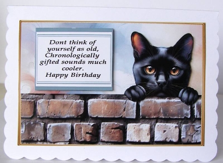 Black cat funny card by Margaret McCartney