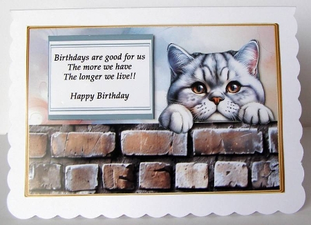 British Shorthair cat funny card by Margaret McCartney