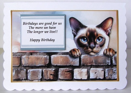 Burmese cat funny card by Margaret McCartney