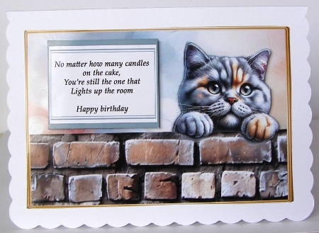 Chartreux cat funny card by Margaret McCartney