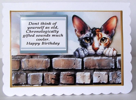 Cornish Rex funny birthday by Margaret McCartney