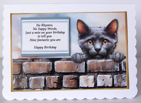 Grey cat funny birthday by Margaret McCartney