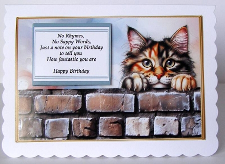Manx funny birthday by Margaret McCartney