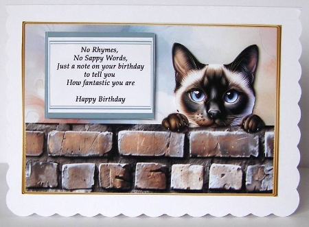 Siamese funny birthday by Margaret McCartney