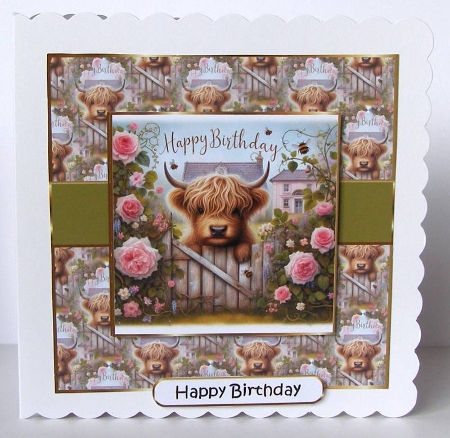 coo birthday insert by Margaret McCartney