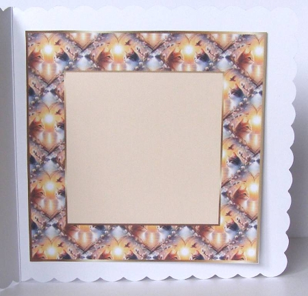 cat insert by Margaret McCartney