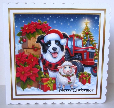 down on farm christmas 2 by Margaret McCartney