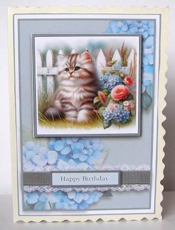 A5 British Long Haired Cat Quick Card Front by Margaret McCartney