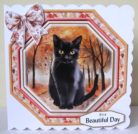 Feline Autumnal 10 by Margaret McCartney